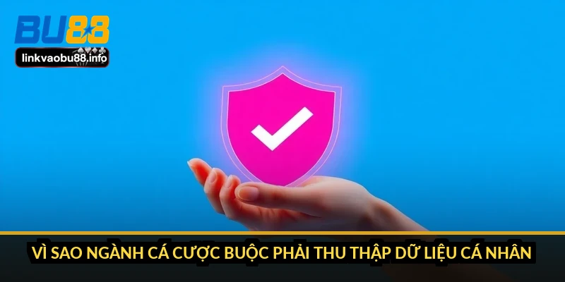 Vì sao ngành cá cược buộc phải thu thập dữ liệu cá nhân