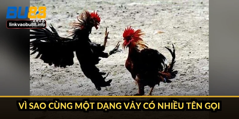 Vì sao cùng một dạng vảy có nhiều tên gọi
