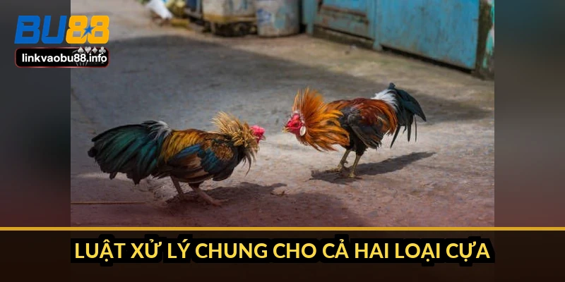 Luật xử lý chung cho cả hai loại cựa