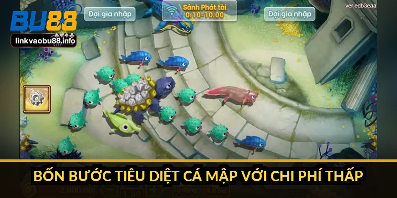 Bốn bước tiêu diệt cá mập với chi phí thấp