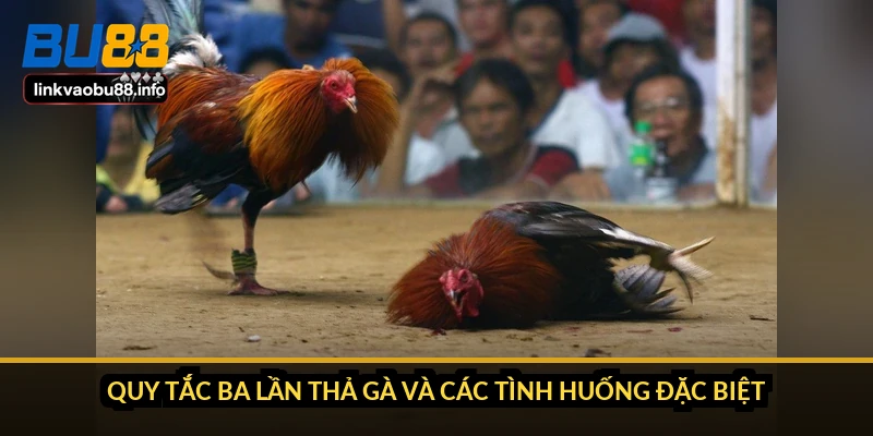 Quy tắc ba lần thả gà và các tình huống đặc biệt