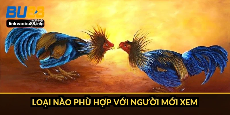 Loại nào phù hợp với người mới xem
