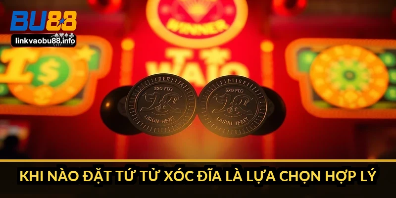 Khi nào đặt tứ tử xóc đĩa là lựa chọn hợp lý