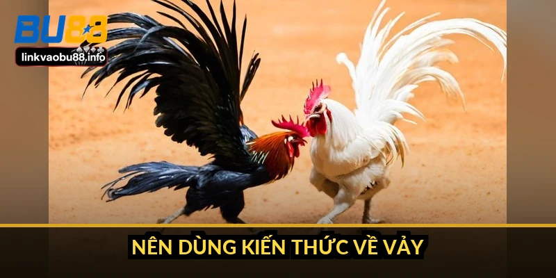Nên dùng kiến thức về vảy thế nào