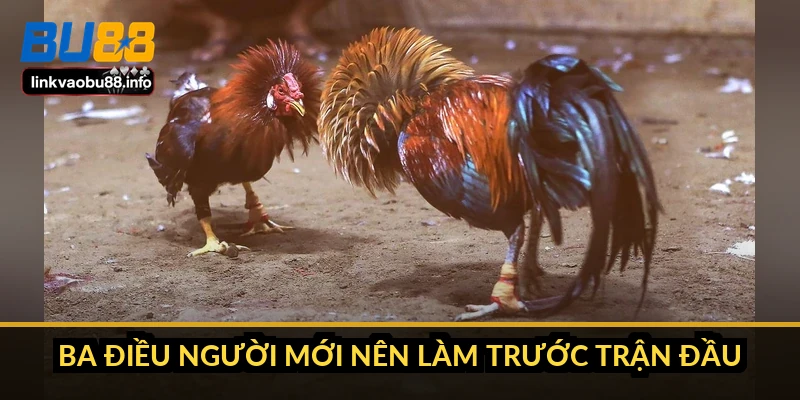 Ba điều người mới nên làm trước trận đầu